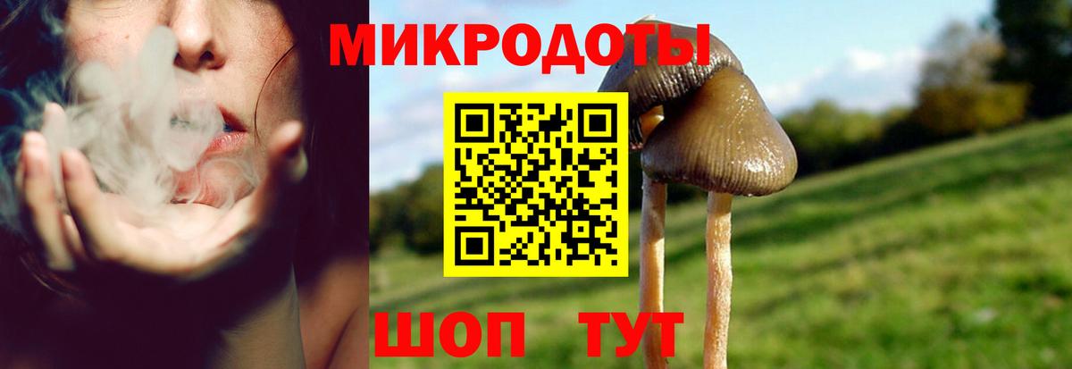 Псилоцибиновые грибы MAGIC MUSHROOMS Соль-Илецк